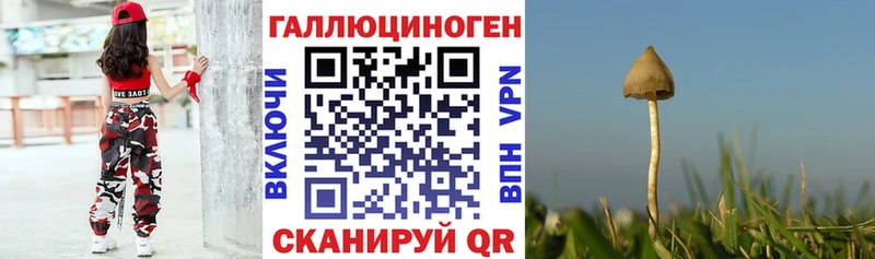 Галлюциногенные грибы ЛСД Сосновый Бор